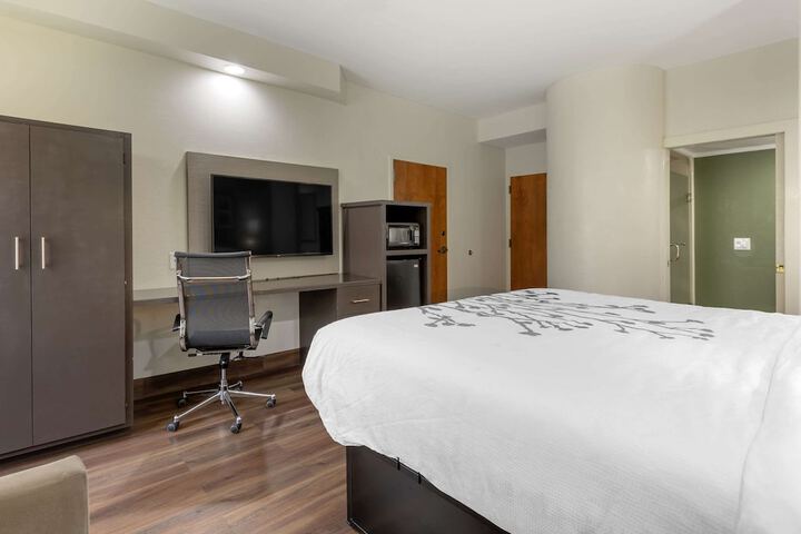 Standard | King Bed (2 of 9)