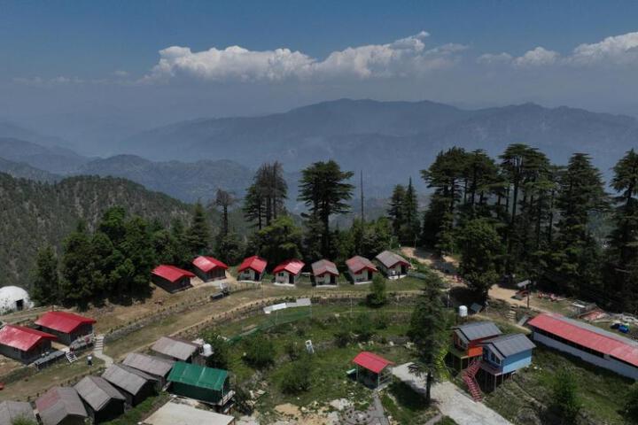 Himalayan Roots