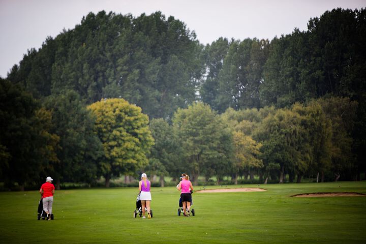 Golf 37 of 60