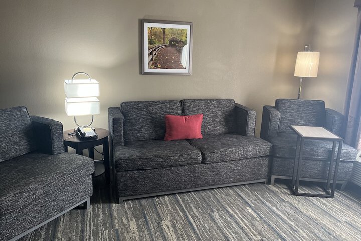 1 King Bed Sofa (8 of 16)