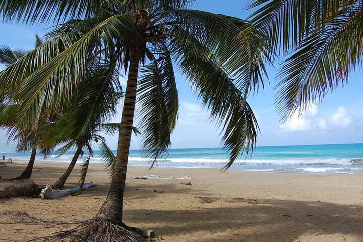 Beach 31 of 39