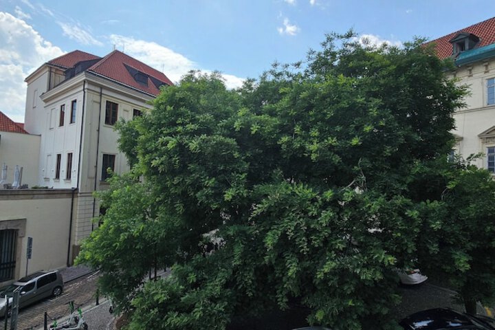 View from room