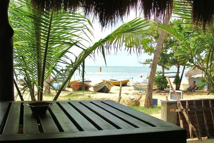 Beach 51 of 59
