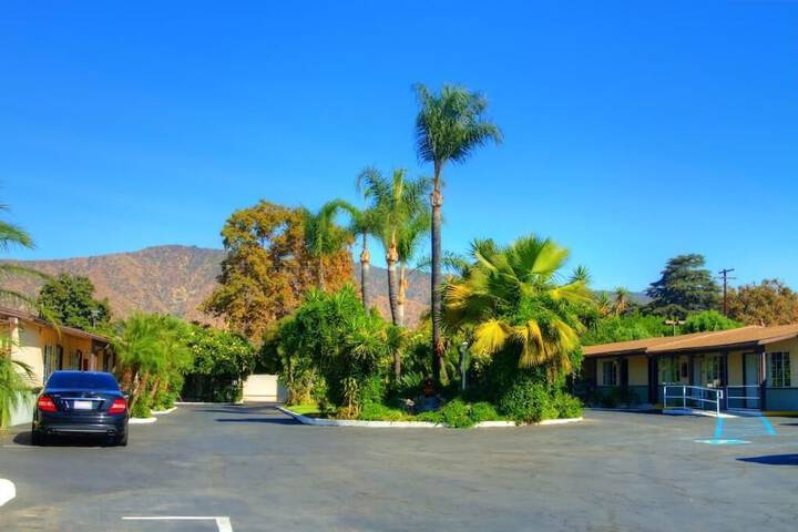 Property Grounds 16 of 17