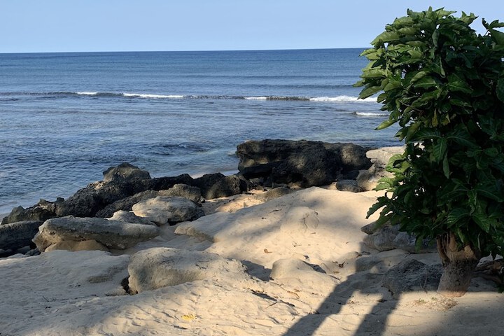 Beach 136 of 238