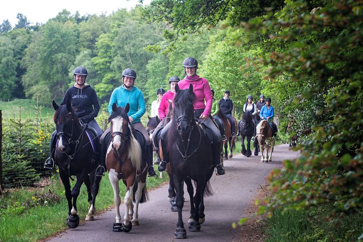 Horseback riding