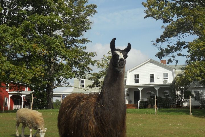 Property Grounds 147 of 191