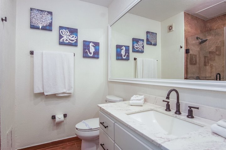 Room 539 of 599