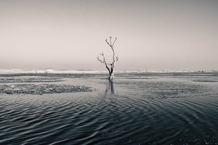 Beach 48 of 56