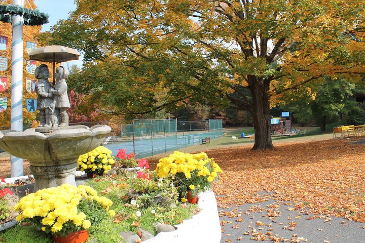 Tennis and Basketball Courts 10 of 20