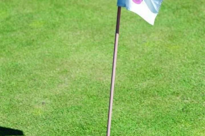 Golf 17 of 29
