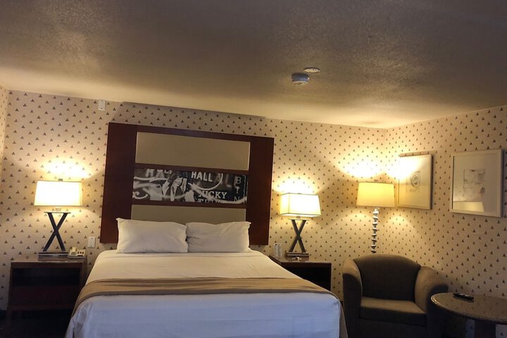 Deluxe King Bed (9 of 26)