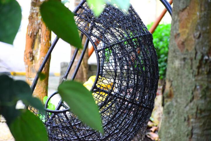 General 9 of 50