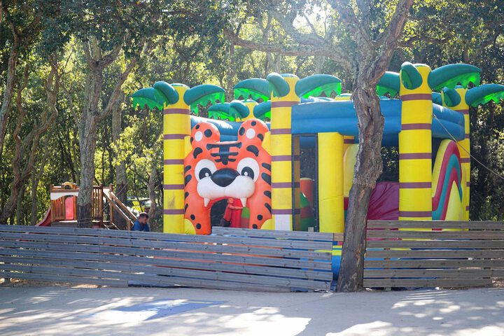 Childrens Activities 76 of 89