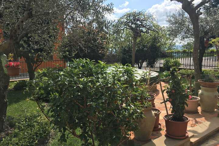Terrace/Patio 35 of 71