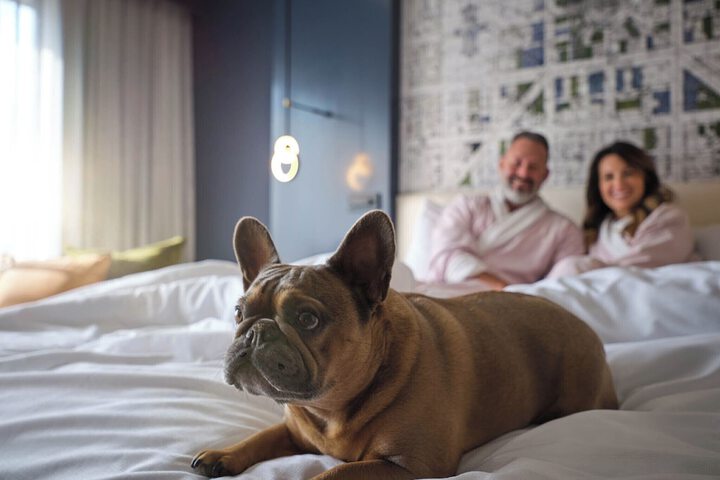 Pet-friendly