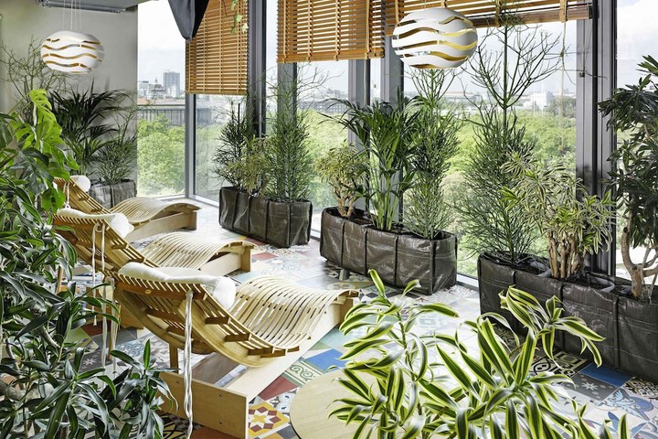 Wellness Treatments