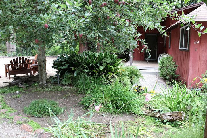 Terrace/Patio 250 of 329