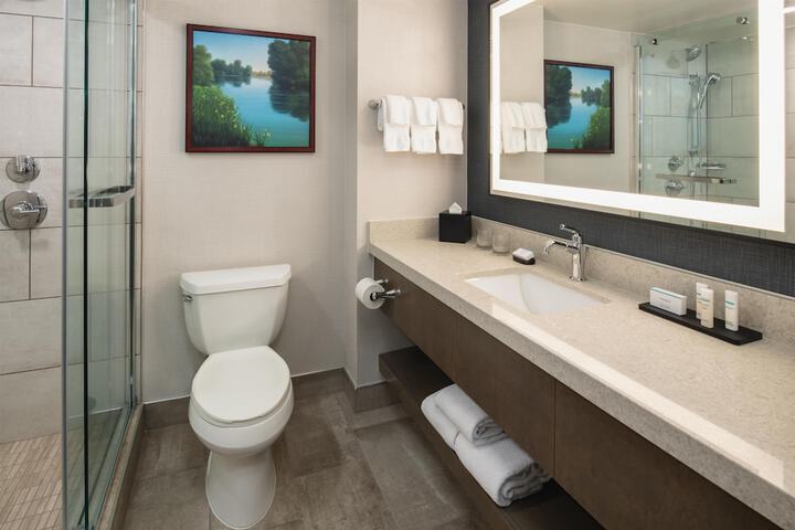 Bathroom shower