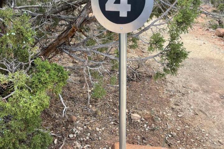 General 29 of 79