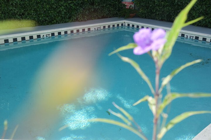Pools & Facilities