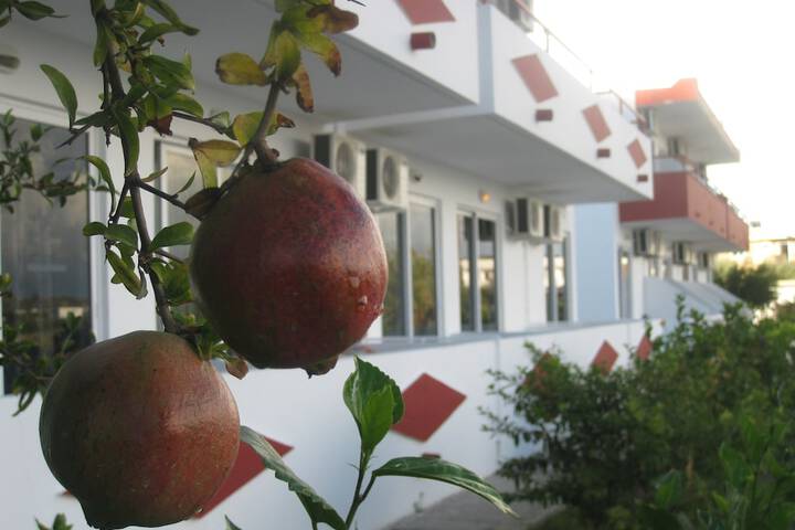Outside Hotel
