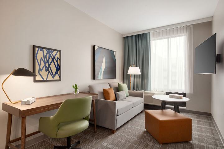 1 King Bed Studio Suite (22 of 31)