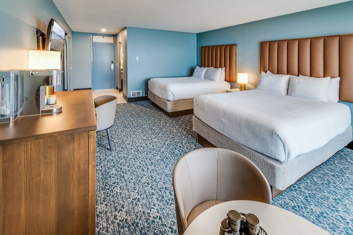 Room 16 of 220