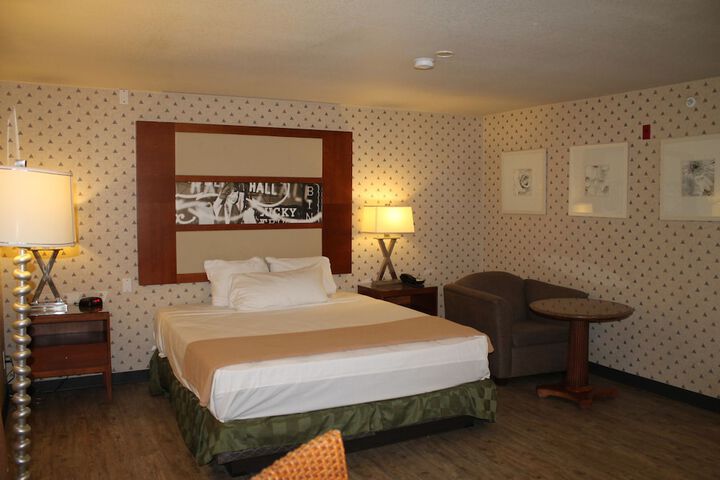 Deluxe King Bed (7 of 26)