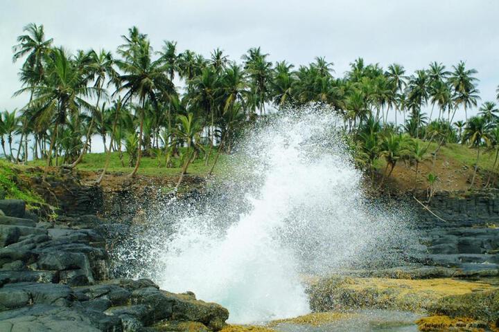 Photo 25