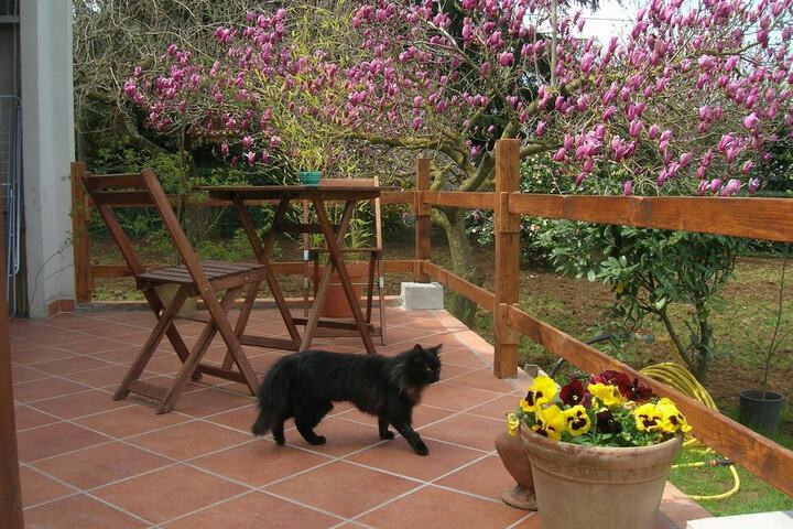 Terrace/Patio 9 of 27