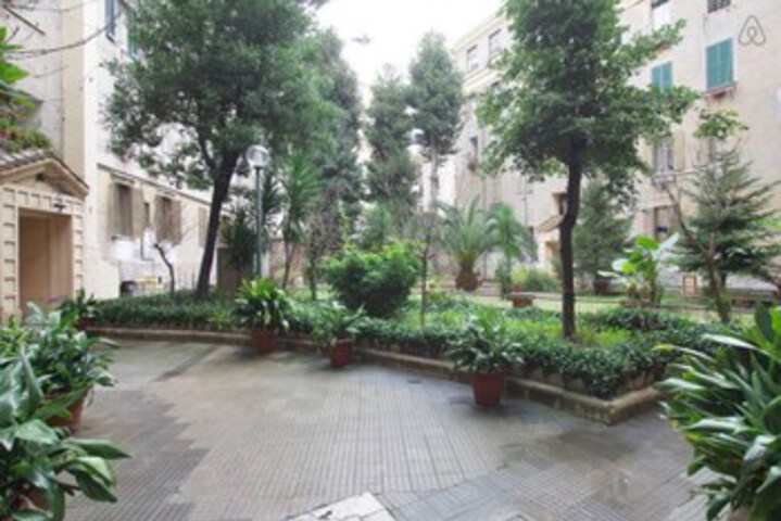 Rome Magnificents Burrow