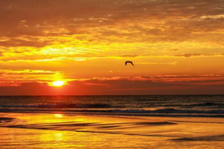 Beach 56 of 139