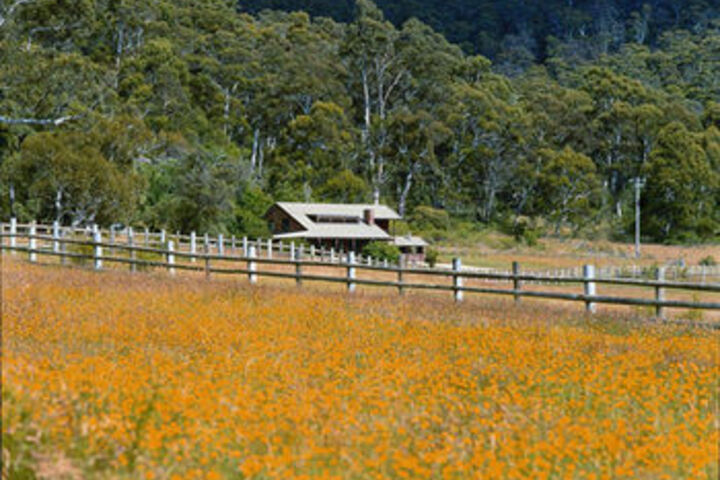 Property Grounds 37 of 38