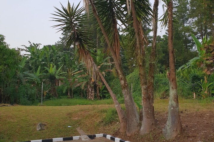 Property Grounds 40 of 52
