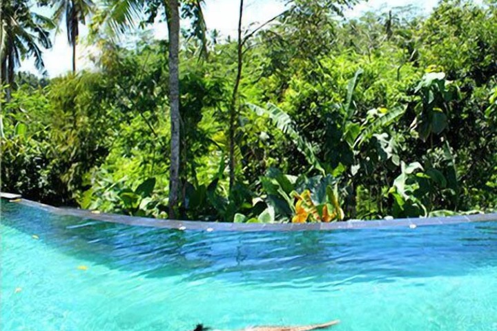 Pool 16 of 37