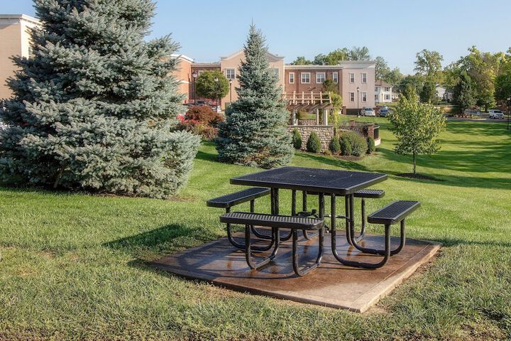 BBQ/picnic area