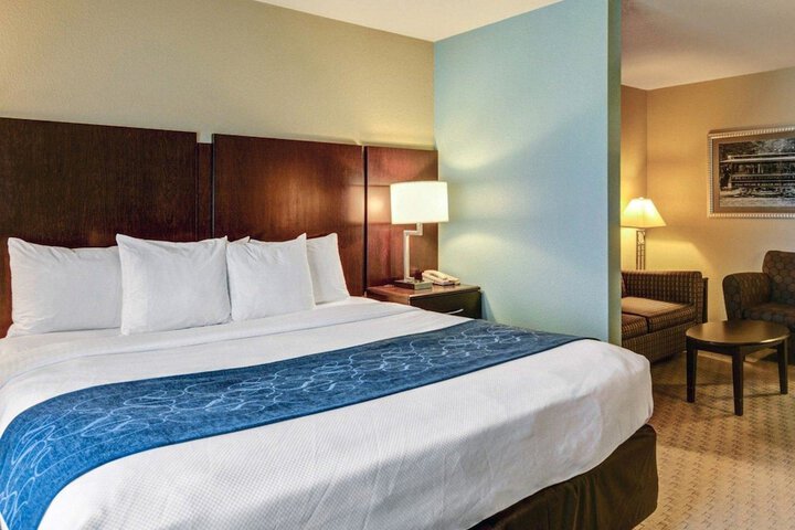 1 King Bed Suite (6 of 13)
