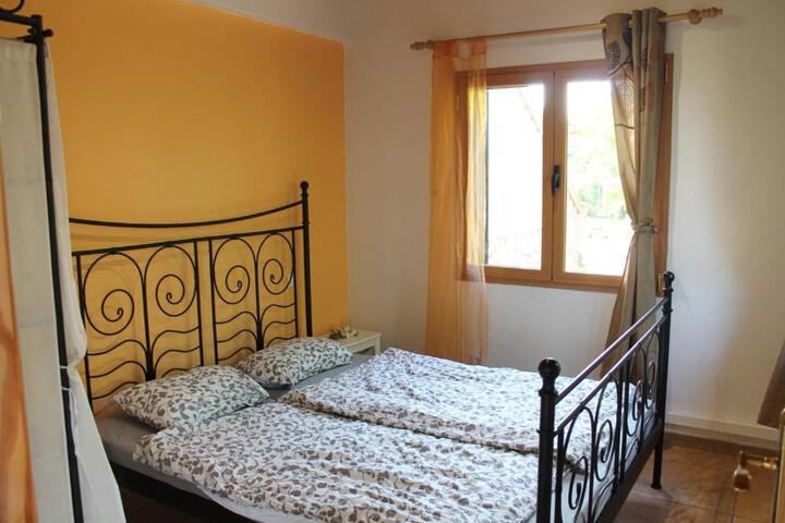General 16 of 58