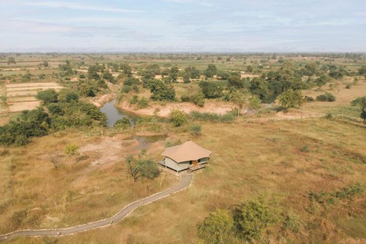 Trees N Tigers Tadoba