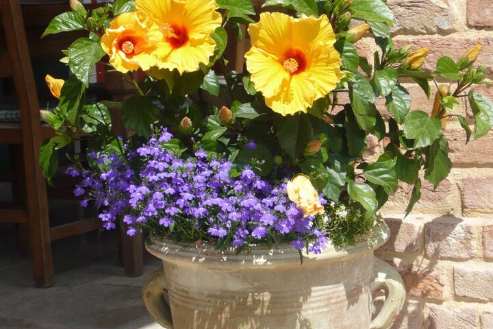 Photo 29