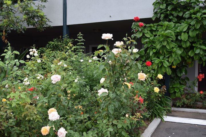 Hotel Exterior 26 of 32