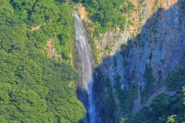 ・Shiga Kogen where you can enjoy nature even during the green season