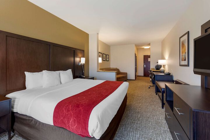 1 King Bed Suite (8 of 16)