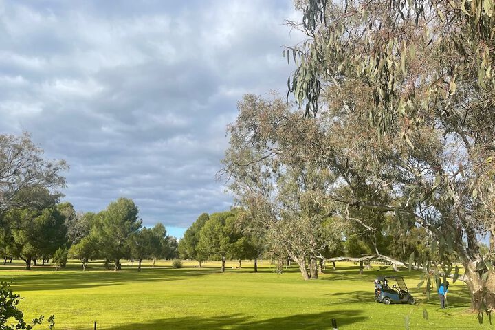 Golf 48 of 59