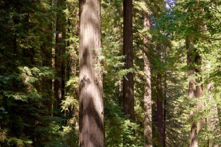 General 67 of 68