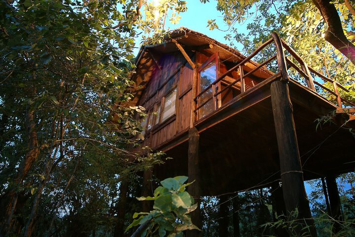 Image of Pugdundee Safaris- Tree House Hideaway