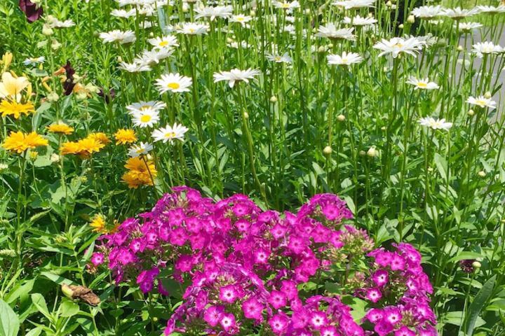 Hotel Exterior 79 of 97