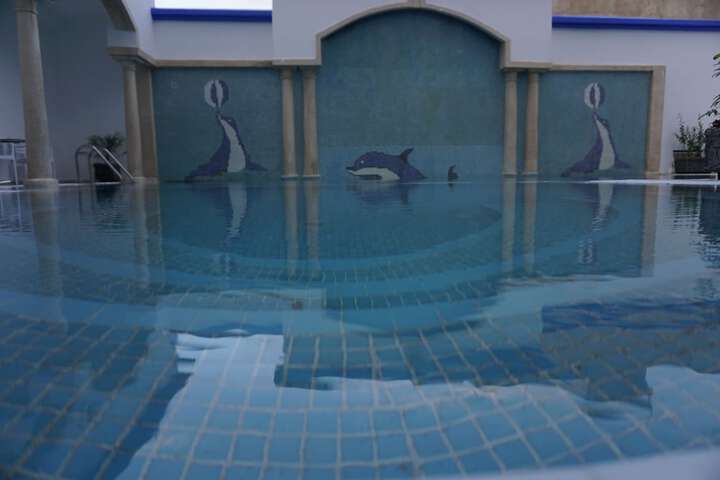 Pool to Cool