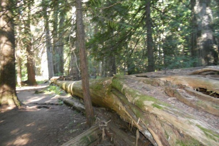 Outdoor Activities 101 of 188